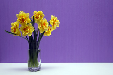 bouquet of yellow flowers in a vase on a bright background