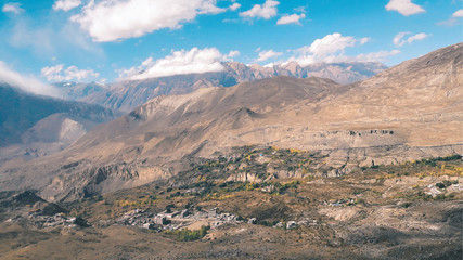 Mustang Landscape