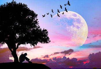 Lonely man  sitting under big tree with flying birds. He is unhappy and sad. He is watching the...