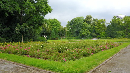Drohne Stadtpark Gelsenkirchen