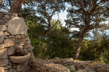 A fountain in the forest