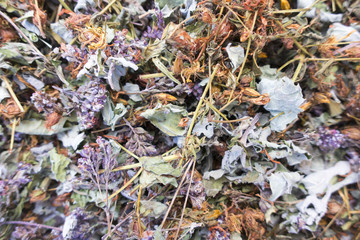 Collect dry herbs such as St. John's wort, matryoshka, currant leaves, mint, lemon balm