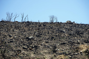 Burned slope of rock