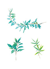 Hand-painted watercolor set.