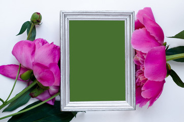 Pink peony flower in frame Flat lay Nature concept on white background with copy space for greeting message creative layout. Mother's Day and spring background concept.