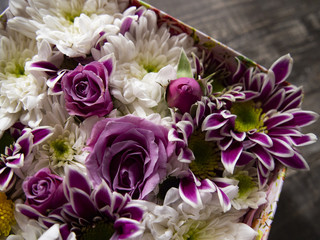 composition of fresh cut flowers