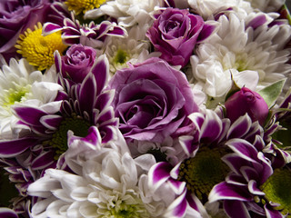 Obraz premium composition of fresh cut flowers