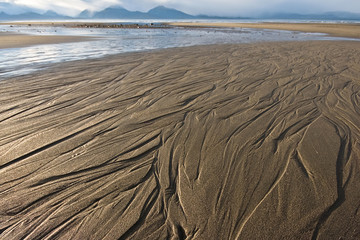 Lines in the sand on a beach of Alaska, with mountains in the background
