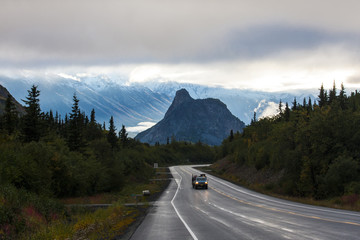 Lion's head on the end of the road in Alaska.