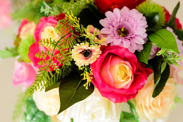 Colorful rose flower background. Valentine concept.