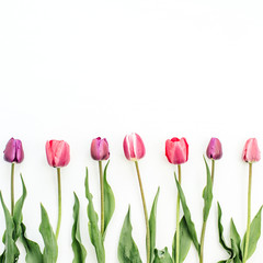 Colorful tulip flowers on white background. Flat lay, top view festive floral concept.