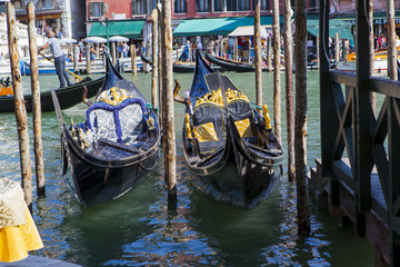 gondolas in venice © xl1984