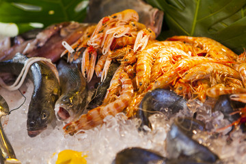 seafood in ice
