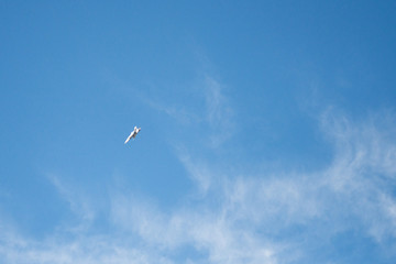 AVION CAZA EUROFIGHTER TYPHOON c.16