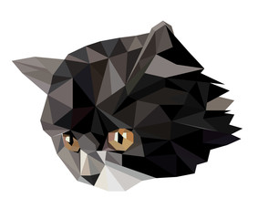 Naklejka premium Vector cat in polygon style.