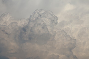 Wunderschöne Kumuluswolke im Gewitter