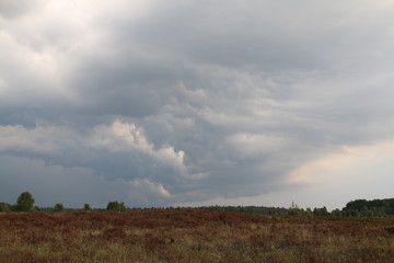 Fototapeta premium Gewitterwolken über der Heide