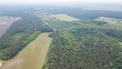 Aerial view of green field .Flying over the field with green grass and little lake. Aerial survey of forest near the lake and field.Farmland from above