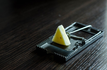 free cheese in a mousetrap