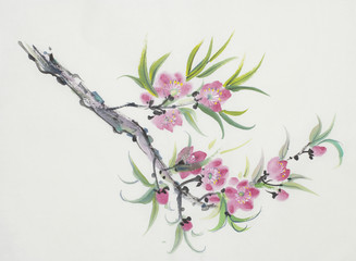 branch of a blossoming peach