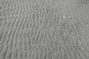 closeup rippled sand with light paw prints on the beach, background 