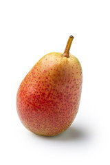 A pear sort of salmon isolated with shadow on white background