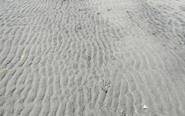 closeup rippled sand with light paw prints on the beach, background 