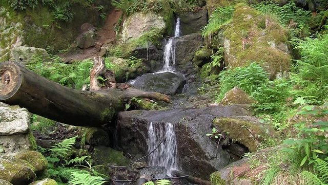 kleiner Flusslauf nahe des Blauenthaler Wasserfalls im Erzgebirge