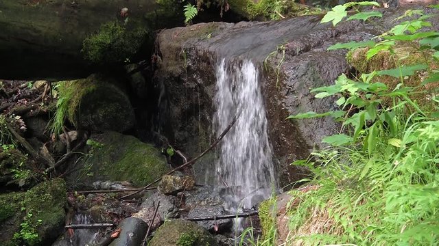 kleiner Flusslauf nahe des Blauenthaler Wasserfalls im Erzgebirge