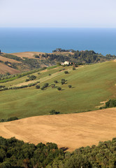 Panoramic view of olive groves and farms on rolling hills of Abruzzo and in the background the Adriatic Sea. Italy