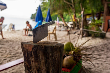 Malaysia island beach travel asia