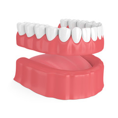 3d render of removable full denture