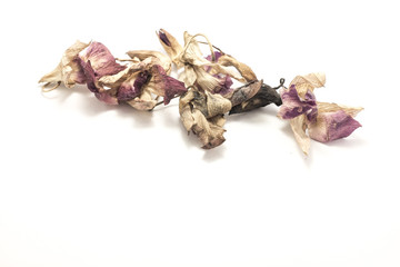 garlic isolated on white background