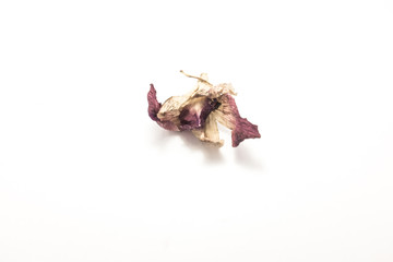 red onion isolated on white background
