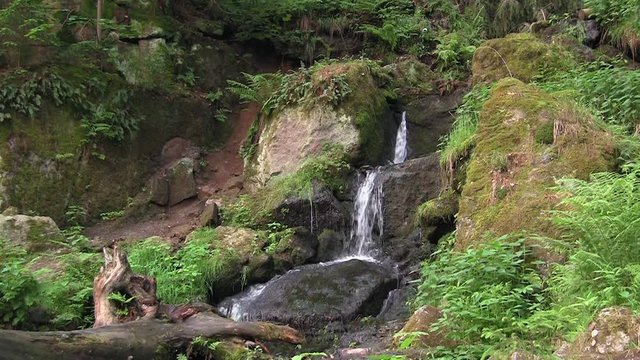 kleiner Flusslauf nahe des Blauenthaler Wasserfalls im Erzgebirge
