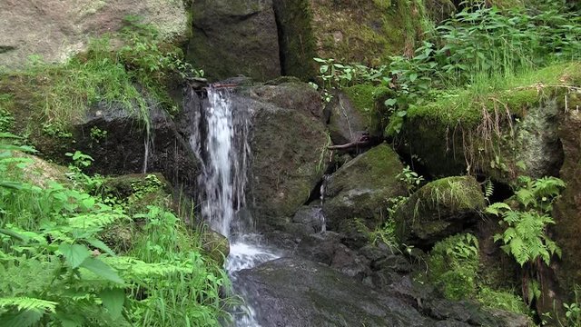 kleiner Flusslauf nahe des Blauenthaler Wasserfalls im Erzgebirge