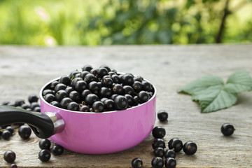 Fresh currants in a pink pot on a wooden background.