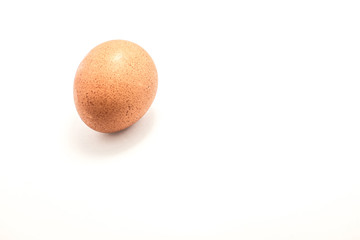 Egg 