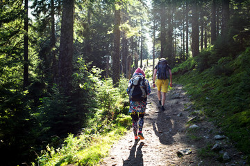 Hikers on a trail in a wood - obrazy, fototapety, plakaty