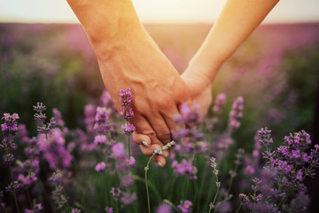 Couple holding hands in lavender field.Young people caught a beautiful summer sunset