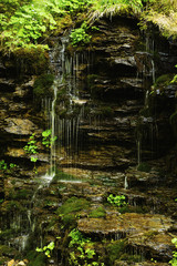 Bila Opava (White Opava)  is a wild mountain stream in the Jeseniky mountains
