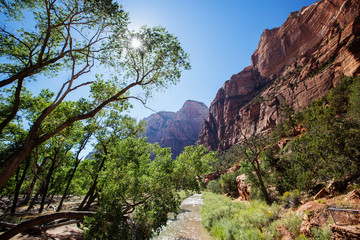 Landscape of the Zion National park, Utah, USA