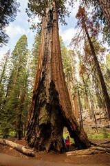 Mother with infant visit Sequoia national park in California, USA