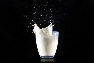 Milk splashes from a glass transparent glass on a black background.