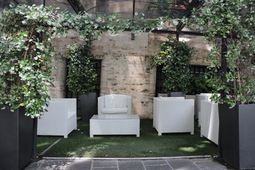 Naklejka premium roma