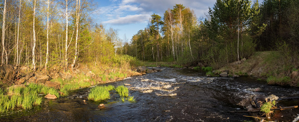 летний пейзаж с рекой и лесом, Россия, Урал, июнь © 7ynp100