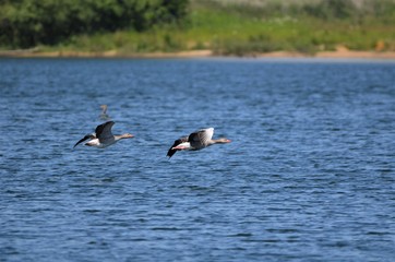 Abflug