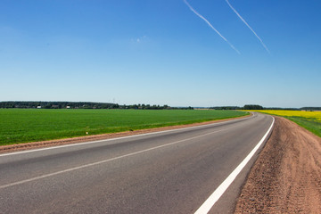 Fototapeta premium Road to the field. Road in the middle of a yellow field.
