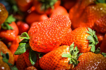 fresh fruits close up view - strawberry, blueberry, red berry, raspberry, blackberry