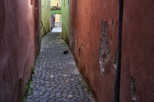 Fototapeta Rope Street , narrowest colorful old street in Brasov, Romania